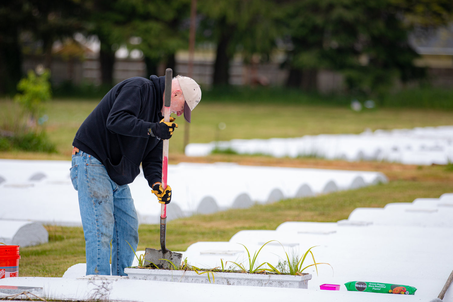 Don Hays removes pots in preparation for new flowers to be planted at the Greenwood Memorial Park in Centralia off Reynolds road.